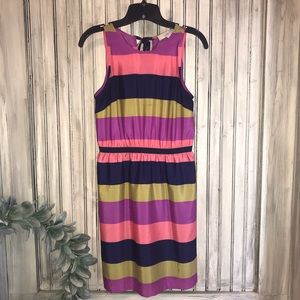 Loft Striped Dress